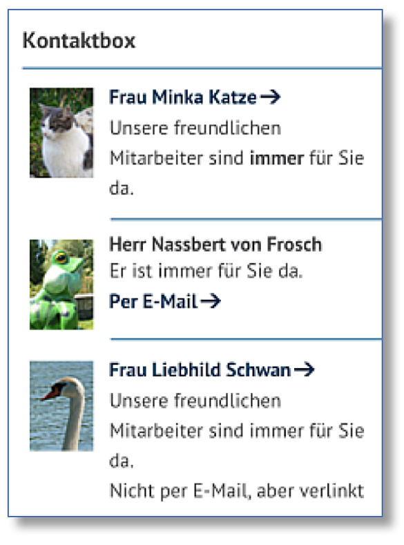 Beispielbild einer Kontaktbox
