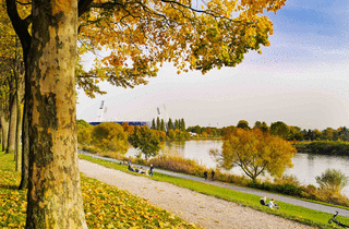 Bremen - Osterdeich im Herbst