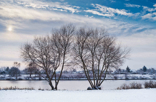 Winter in Bremen
